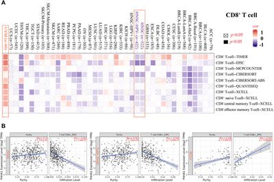 Frontiers | The Role of P4HA1 in Multiple Cancer Types and its 